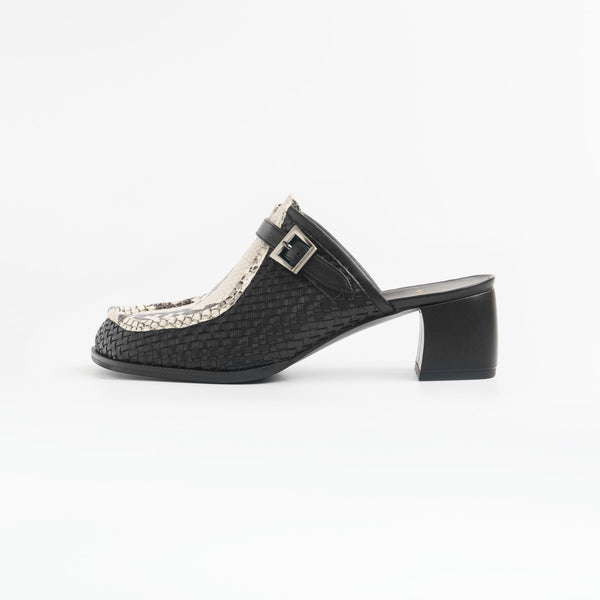 NEWTON_python white&black