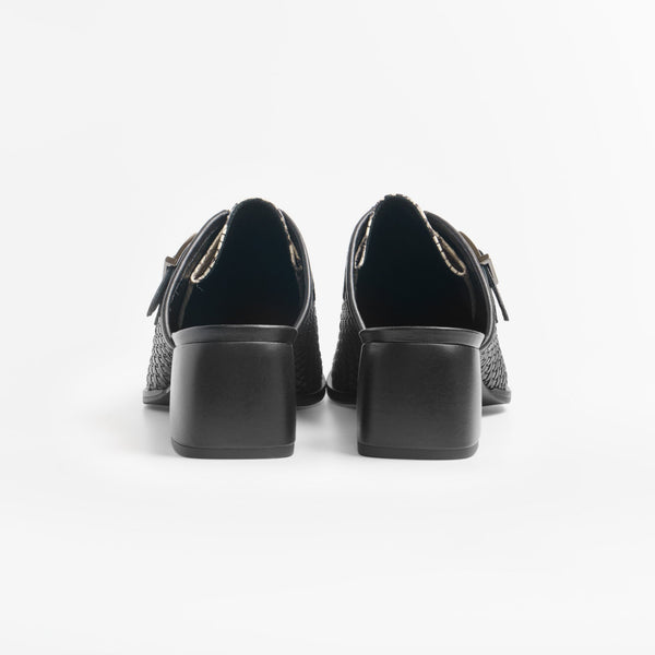 NEWTON_python white&black