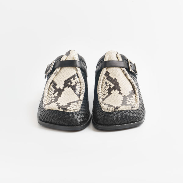 NEWTON_python white&black