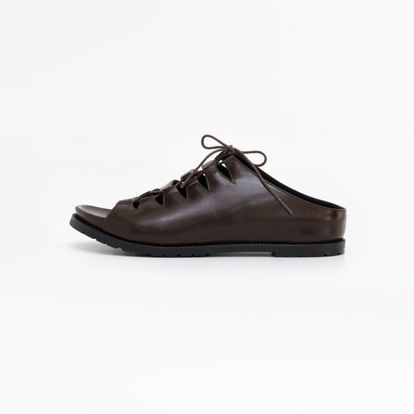 THUNDERGATE_dk.brown
