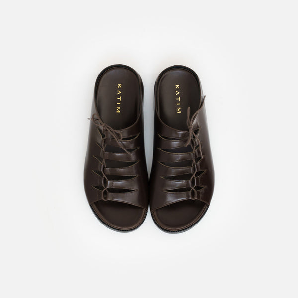 THUNDERGATE_dk.brown
