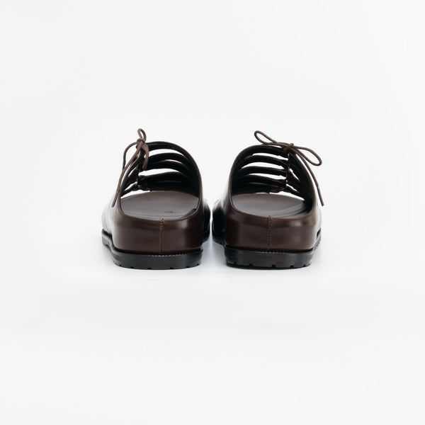THUNDERGATE_dk.brown