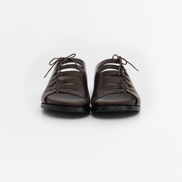 THUNDERGATE_dk.brown
