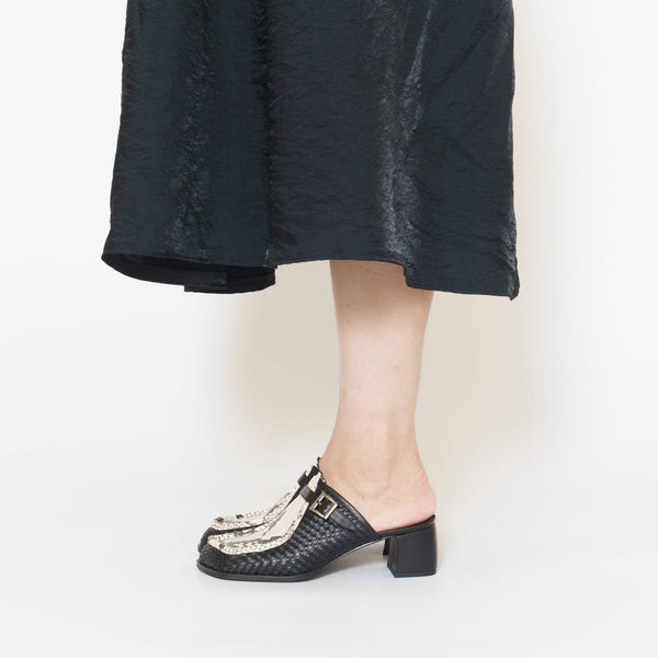 NEWTON_python white&black